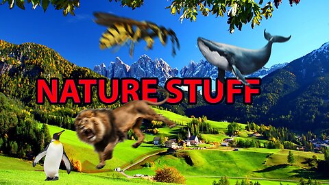 🐸🐯Nature Educational Videos!🦊🦁