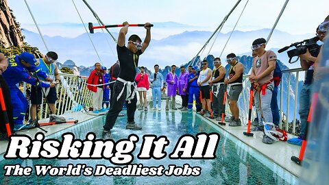 The World's Most Dangerous Jobs: A Thrilling Dive | #animals #facts #viral