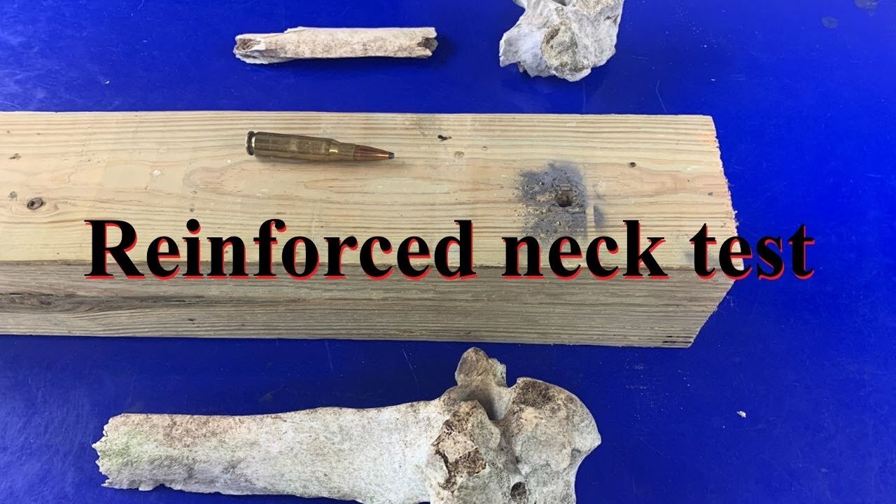 Turning Point reinforced NECK TEST 1 - .308 vs cow bones & treated lumber ✅