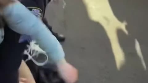 ICE Protestors Impedes on ICE Enforcement