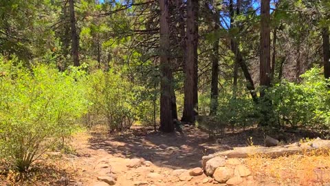 Hiking Mt. Laguna 3 - Laguna Meadow