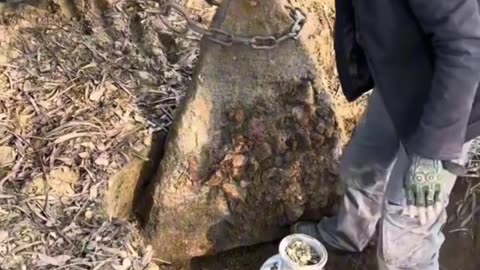 finds in the grave today 18 coins with captives