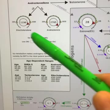 PCOSe - Polycystic Ovary Syndrome is also from parasiteS