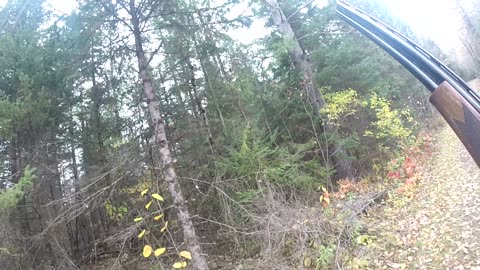 You never know where you will find them.