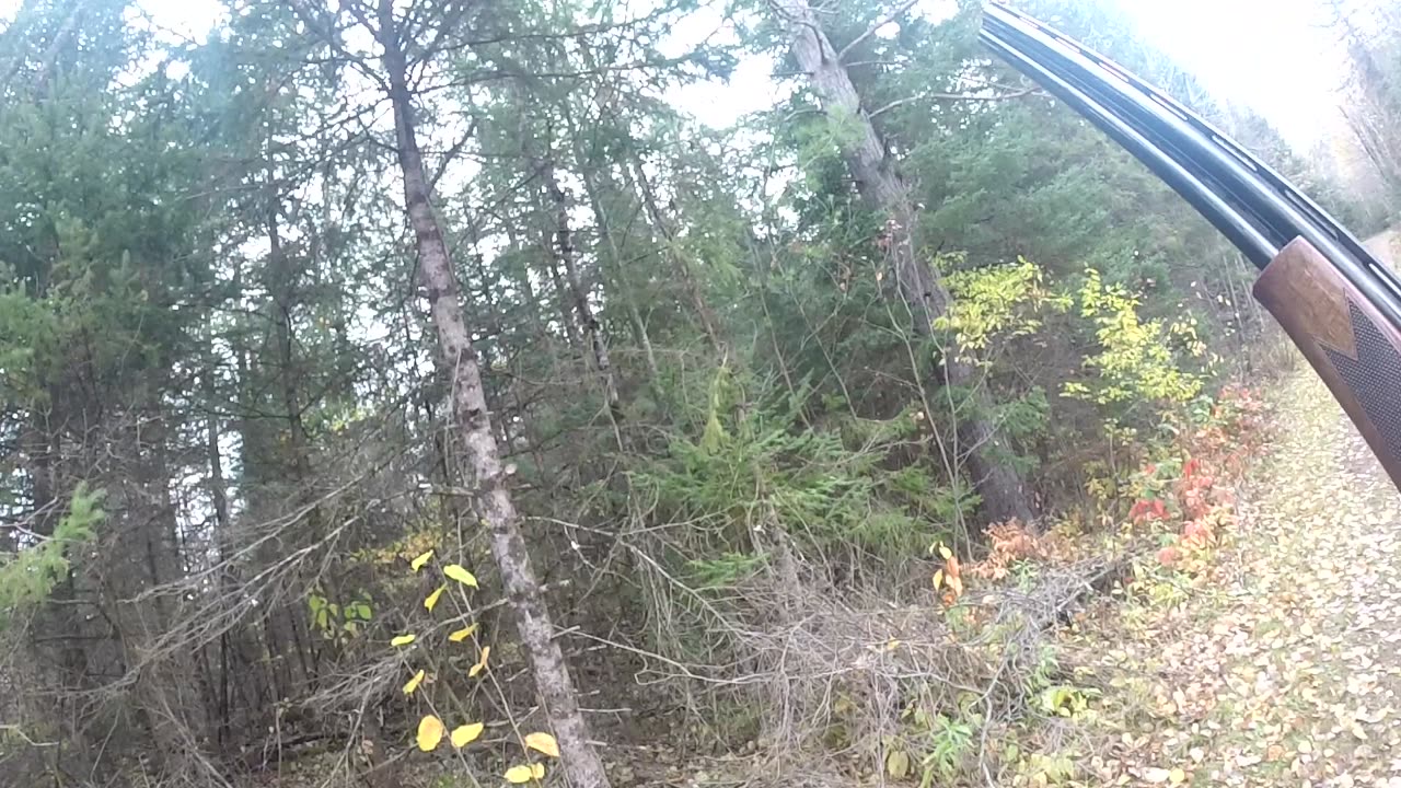 You never know where you will find them.