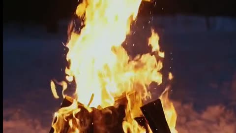 Daily Horoscope | Aries 🌟