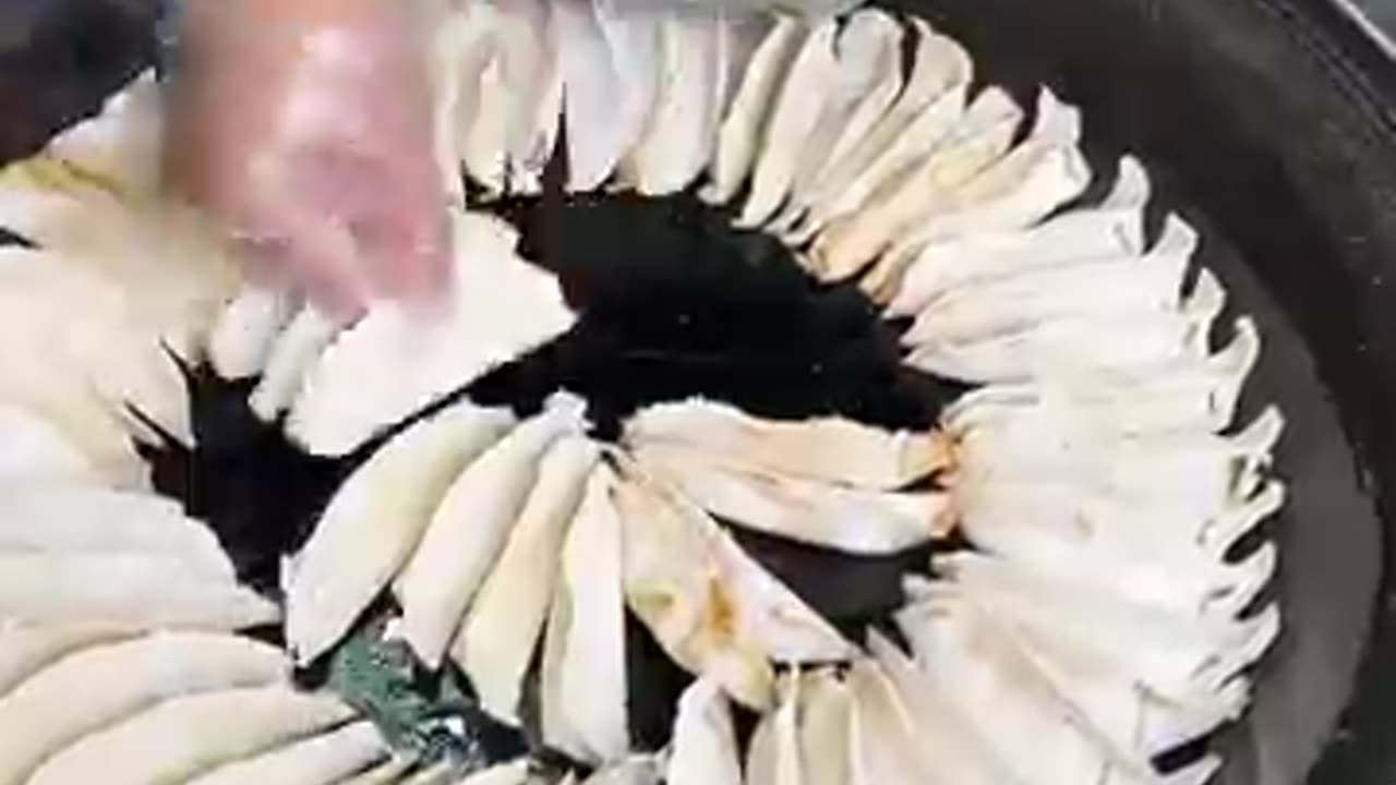 Crispy & Tender Shanxi Beef Pot Stickers – A Must-Try Local Specialty!