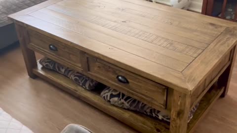 Stylish Martin Svensson Home Monterey Natural Wood Coffee Table for Any Home