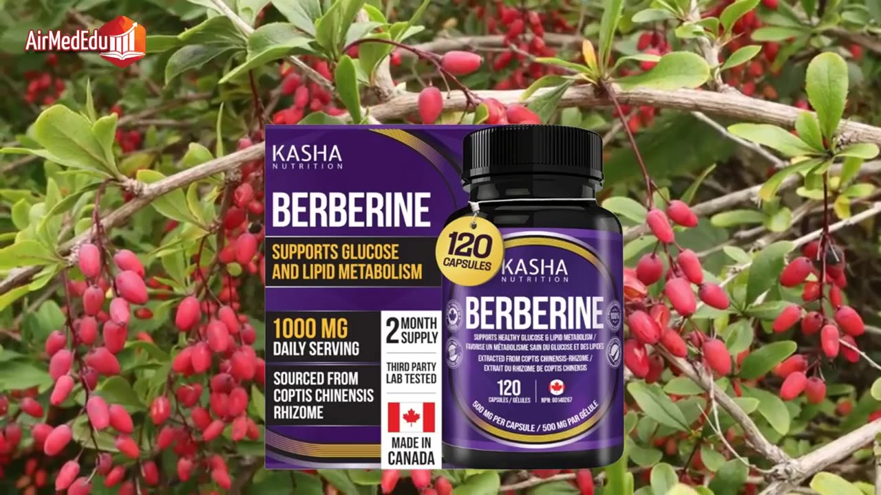 Pflanzen zur Behandlung von schlechtem LDL Cholesterin