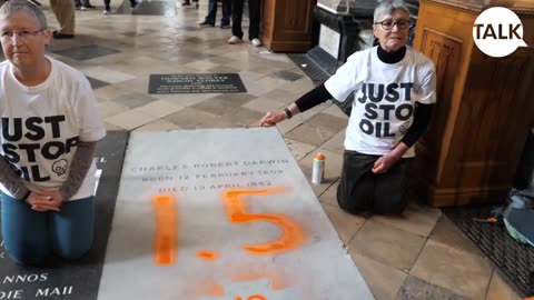 Climate activists target Charles Darwin's grave.
