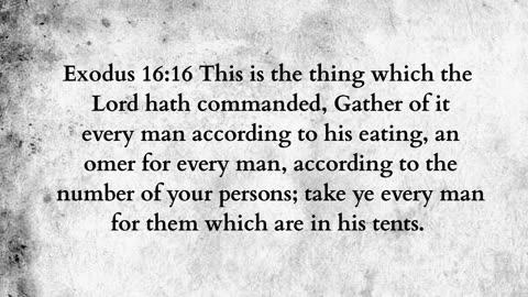 Martus Ministry -499- The Omer