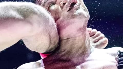 Brutal head kick KO