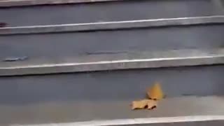 You step off the metro in "Modern Paris".