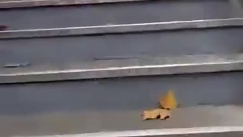 You step off the metro in "Modern Paris".