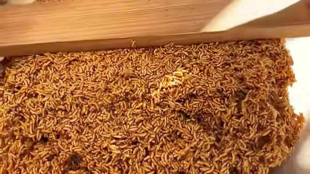 🤯💡 This Simple Trick Will Make Your Idea Look So Cute! | LifeHacksDaily