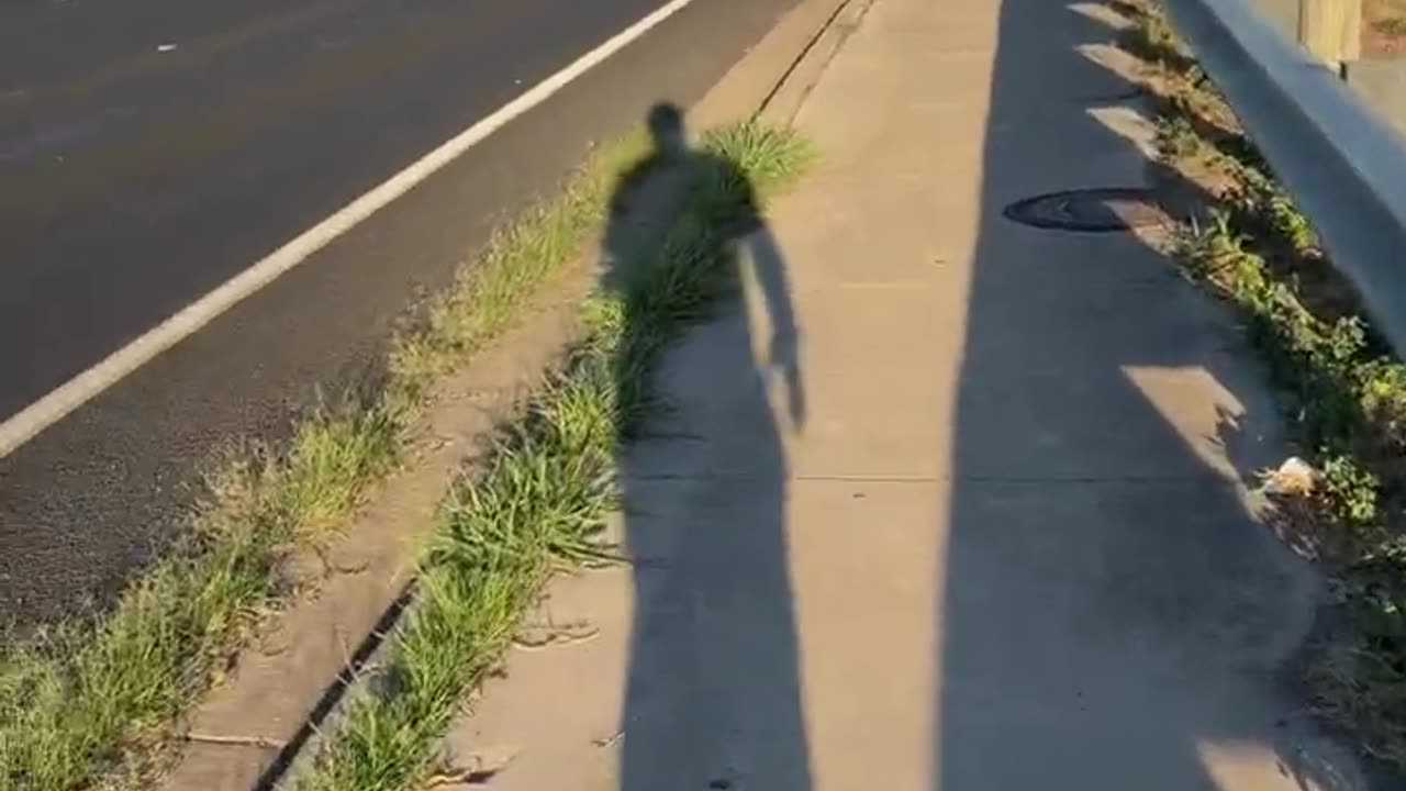 Part 3 vlog - Austin texas