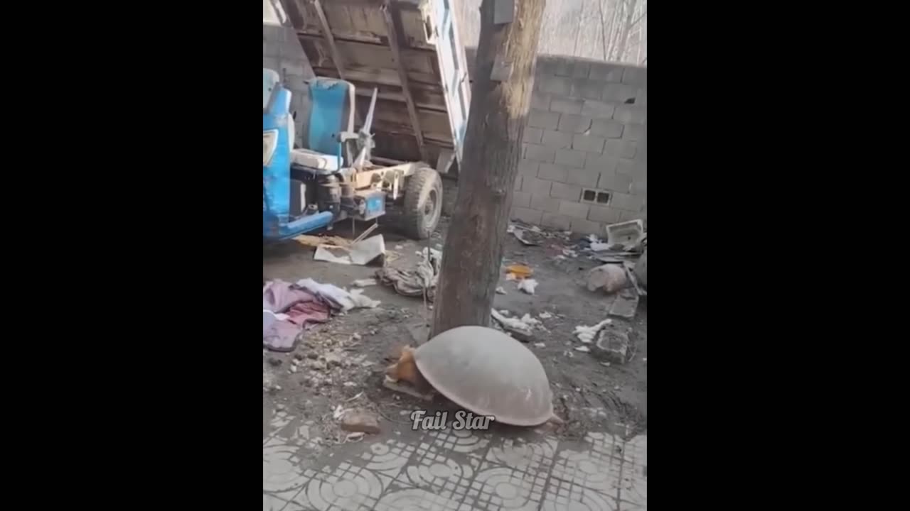 These Memes Break Everyone