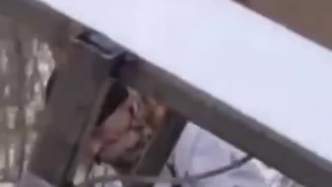 Russians Now Introducing HorseSatt to Front Lines