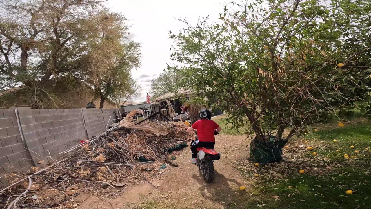 🏁 Backyard Mini Bike Racing with My 8-Year-Old! 🏍️💨 EPIC Fun! 🚀