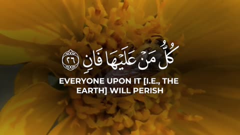 Surah Ar-Rahman 55:26–28 سورة الرحمن 🌅💔🌌 #Quran #shorts #viral #love #youtubeshorts #trending #short