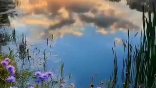 Beautiful views of nature