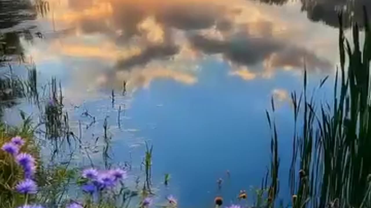 Beautiful views of nature