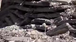 #GAZA DESTRUCTIONS BY INTERNATIONAL TERRORISTS FACIETS ZIONESTS