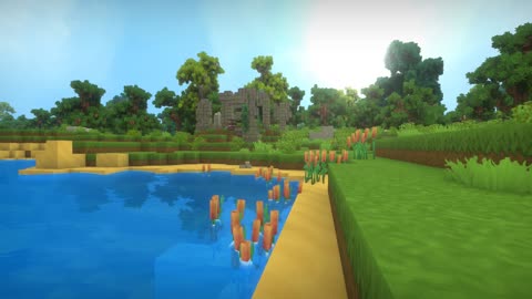 Graphical Improvements and Optimization