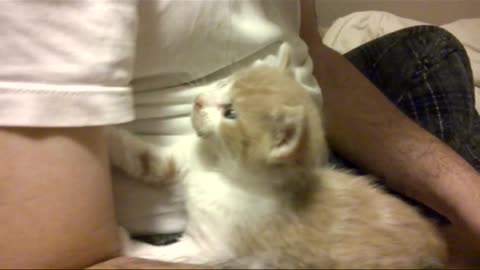 when we first got willie