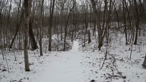 Winter Storm Cora at Sawnee Mountain