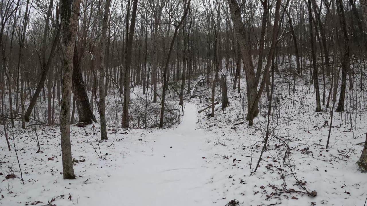 Winter Storm Cora at Sawnee Mountain