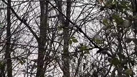 The power of imagination is boundless and vast.