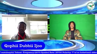 Qophii Dubbii Ijoo ONM-ABO Onkoloolessa 6-2025 itti dhiyaadhaa!