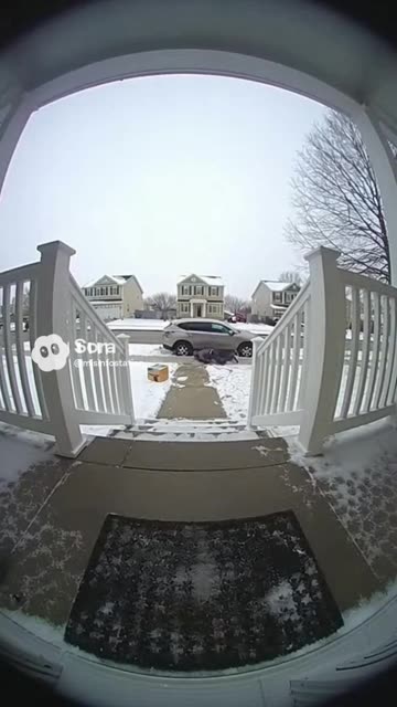 Porch Pirate Slip and Fall Fail