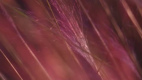 Daily Horoscope | Aquarius 🌟