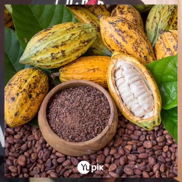 5 Facts About Food You Might Not Know