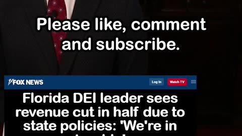 In Florida DEI Industry Revenue Down after 'Stop Woke Act'