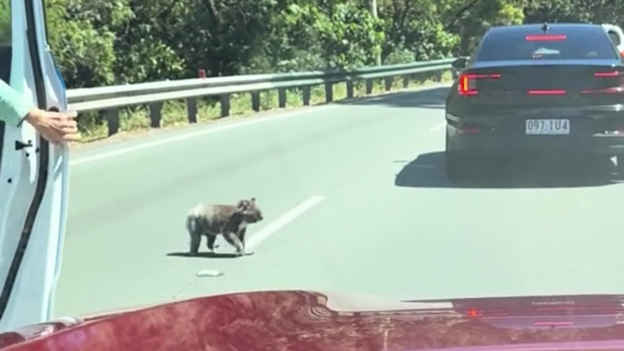Only in Australia 🇦🇺