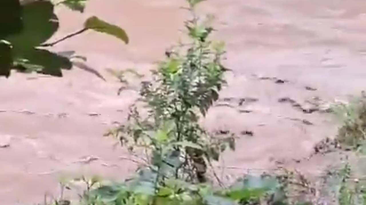 Zero Survival Instinct