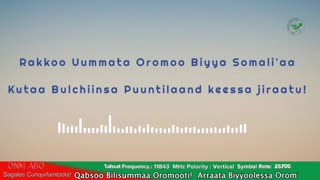 ONM-ABO Guraandhala 5-2025 itti dhiyaadhaa!