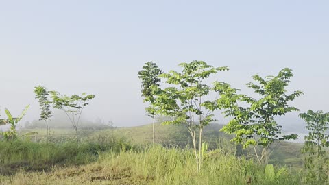 🌄 Morning Fog in the Bukid – Mindanao, Philippines 🌄