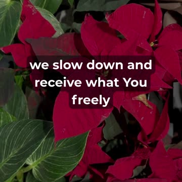 Your Sunday Prayer for Deep Rest and Renewal.