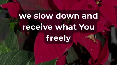 Your Sunday Prayer for Deep Rest and Renewal.