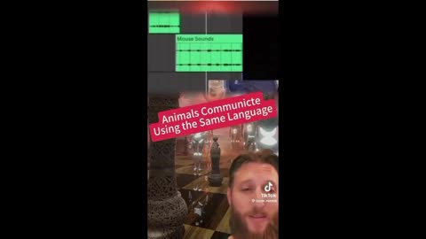 frenTV NEWS17 DONT PANIC 🐸 WeekendWarrior