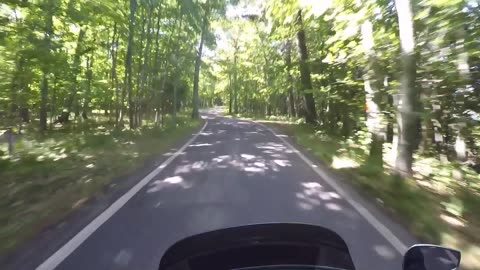 Riding with The Original Grey Beard Biker™ - Michigan’s Tunnel of Trees