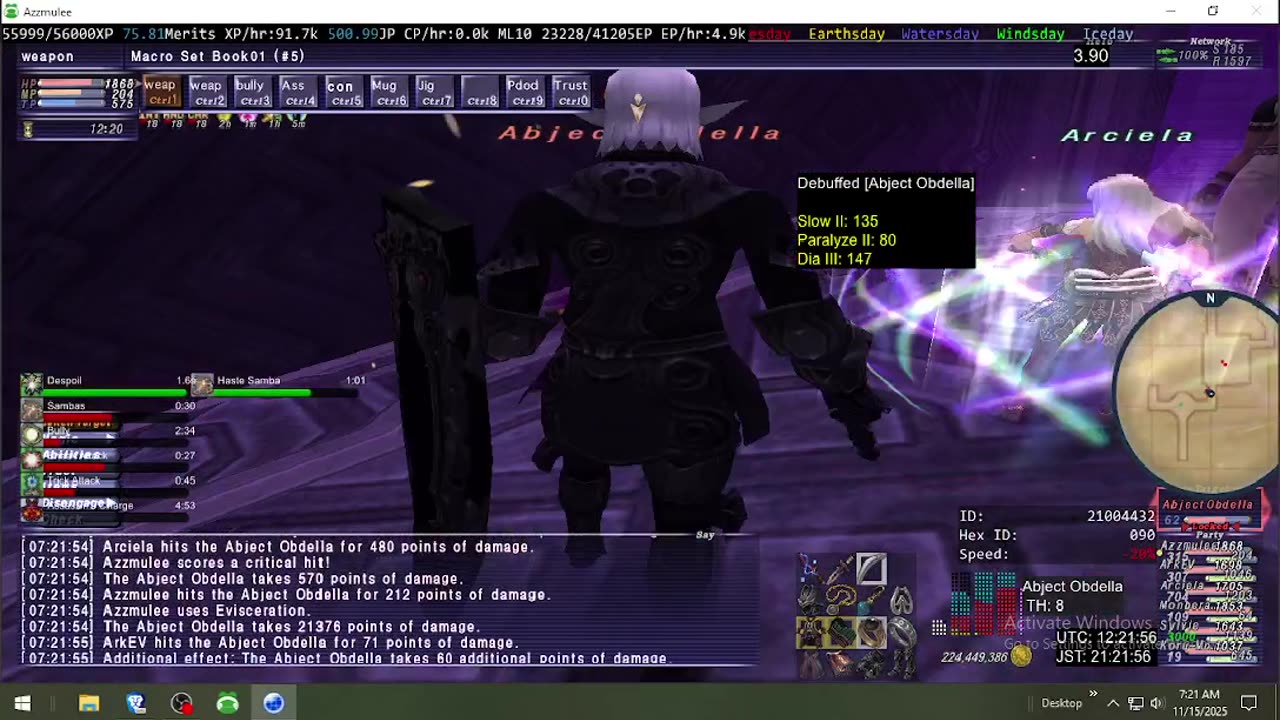 Playing Final Fantasy XI Online