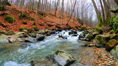 Waterfall 🌊😍