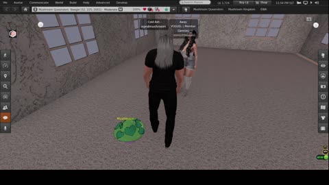 secondlife