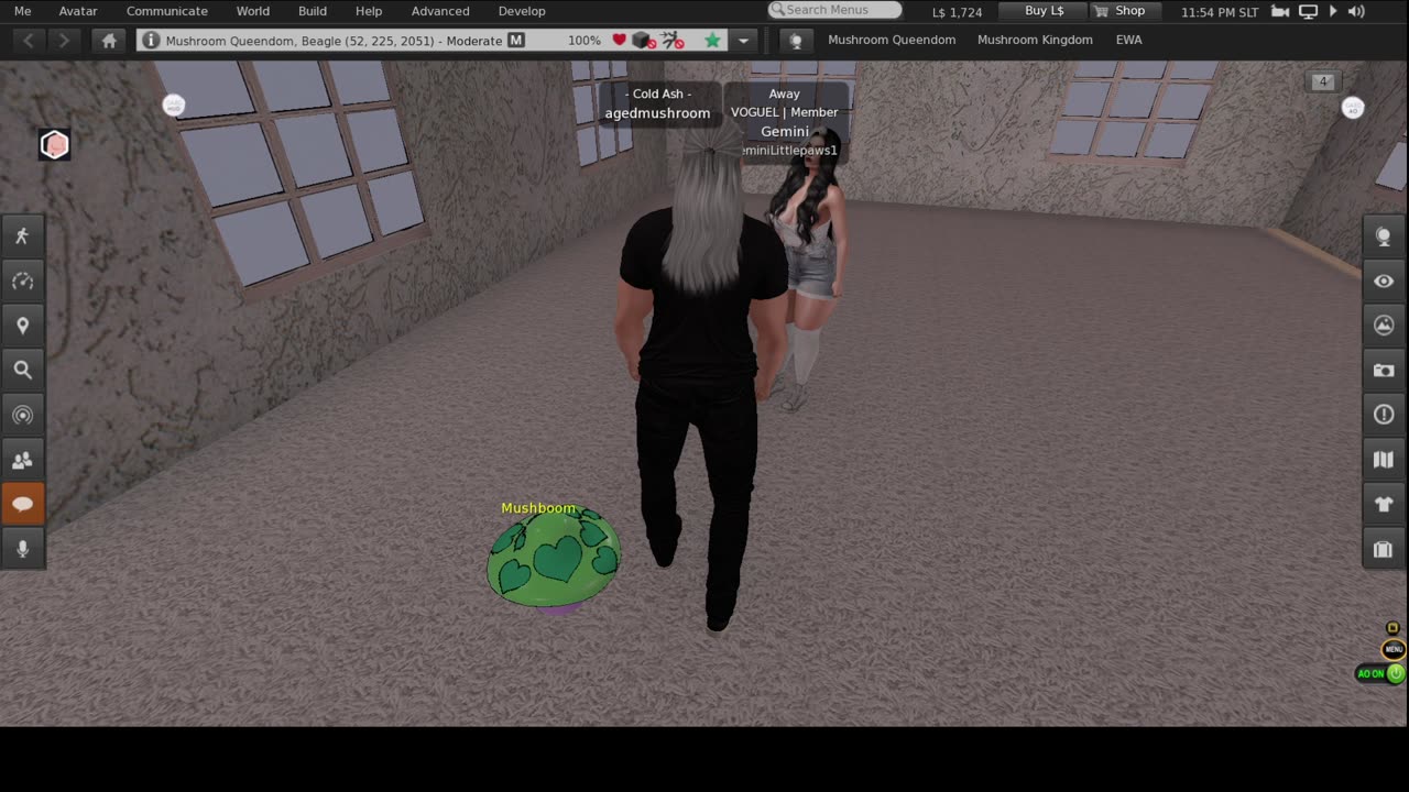 secondlife