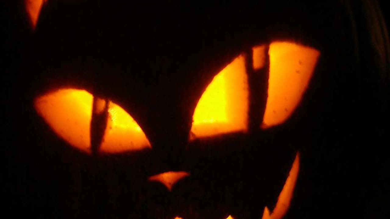 dotpaw podcast - Ghost Stories - UPCOMING 10.30.25